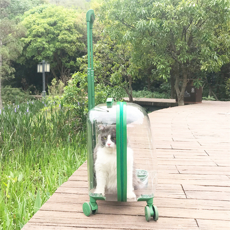 Portable pet trolley case